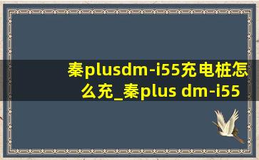 秦plusdm-i55充电桩怎么充_秦plus dm-i55怎么充电